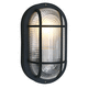 traditional wall light / outdoor / glass / plastic