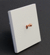 light switch / for roller shutters / for home automation systems / push-button