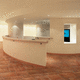 porcelain stoneware tile / polished / indoor / bathroom