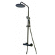 thermostatic shower column / black / wall-mounted / contemporary