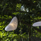pendant lamp / Japanese paper / contemporary / corded