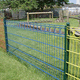 welded mesh fence / residential / for public spaces / powder-coated steel