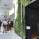 modular-panel green wall / indoor / outdoor / with modular structure