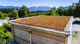 extensive green roof system / for flat roof / waterproof / pitch < 2%