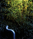 garden bollard light / contemporary / metal / LED