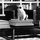 floor-standing speaker / wireless / Bluetooth / residential