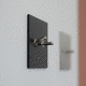light switch / toggle / recessed / double