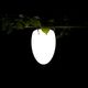 pendant lamp / glass / contemporary / corded