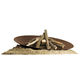 wood-burning fire pit / galvanised steel / COR-TEN® steel / round