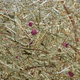 interior decorative panel / natural fiber / HPL / textured
