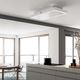 ceiling-mounted range hood / with built-in lighting