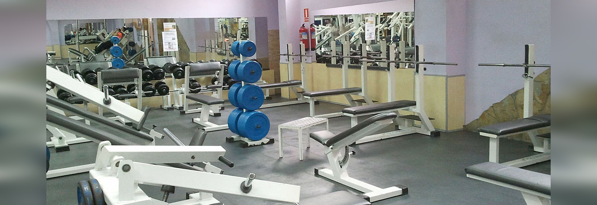 Traficline Pvc Flooring A Long Lasting And Operational Fitness Gym In Record Time Tlm Systems