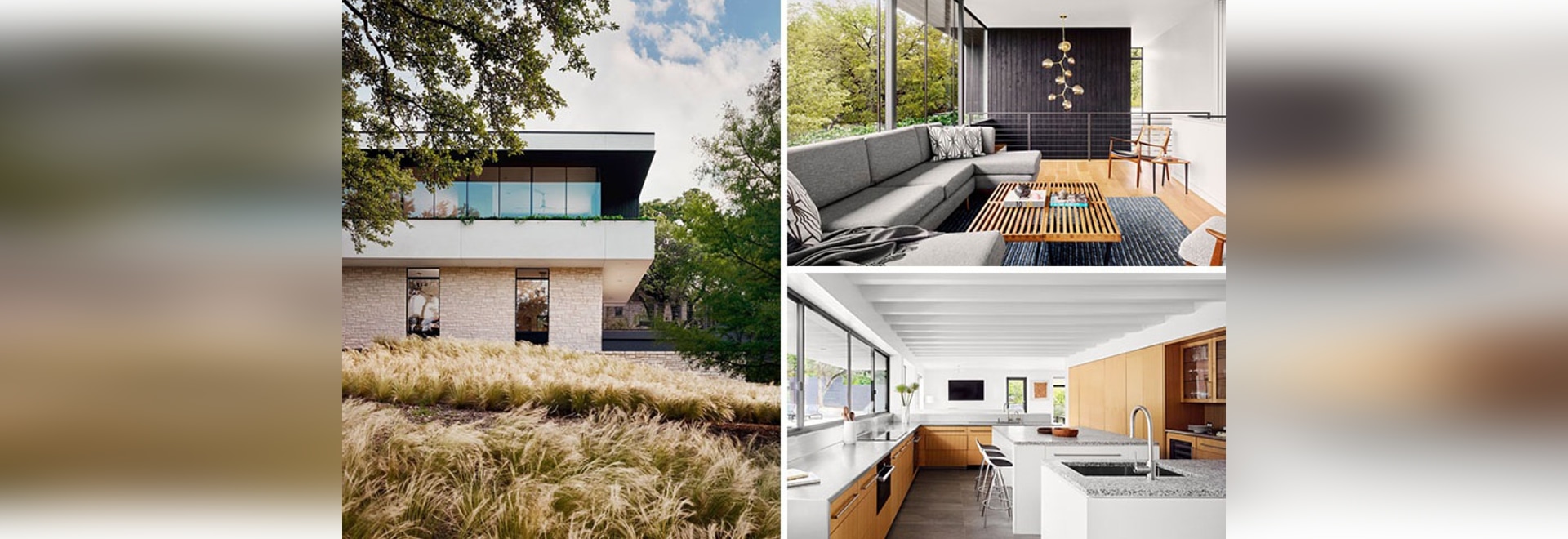 The Treetops House by Specht Architects