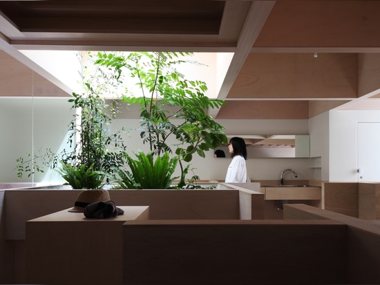 HOUSE IN HANEKITA BY KATSUTOSHI SASAKI + ASSOCIATES