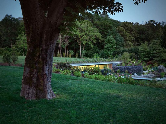 ACT_ROMEGIALLI DISGUISES INDOOR POOL WITH A GREEN ROOF