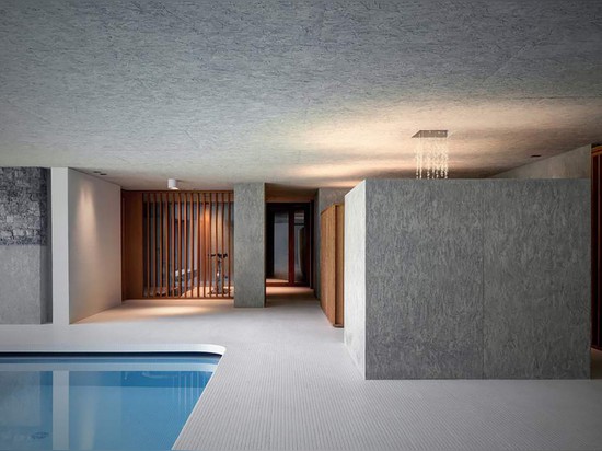 ACT_ROMEGIALLI DISGUISES INDOOR POOL WITH A GREEN ROOF