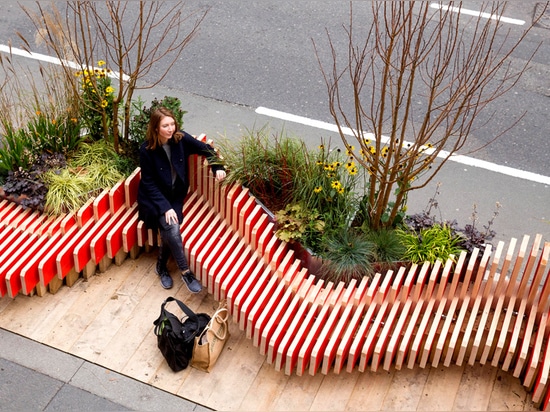 the planting has been selected to be tactile, colourful and animated