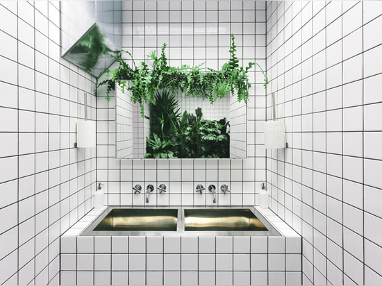 the plants and the grid walls create a vibrant contrast