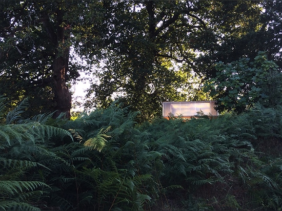 the bar emerges as a discrete lighthouse over nature