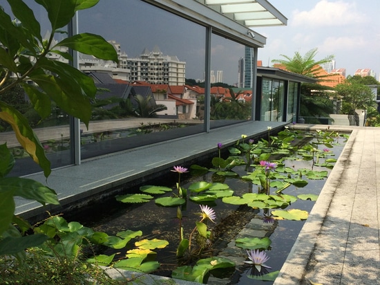 Chiltern House by WOW Architects features a rooftop lily pond to attract birds