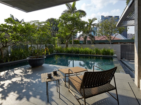 Chiltern House by WOW Architects features a rooftop lily pond to attract birds