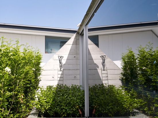 Chiltern House by WOW Architects features a rooftop lily pond to attract birds