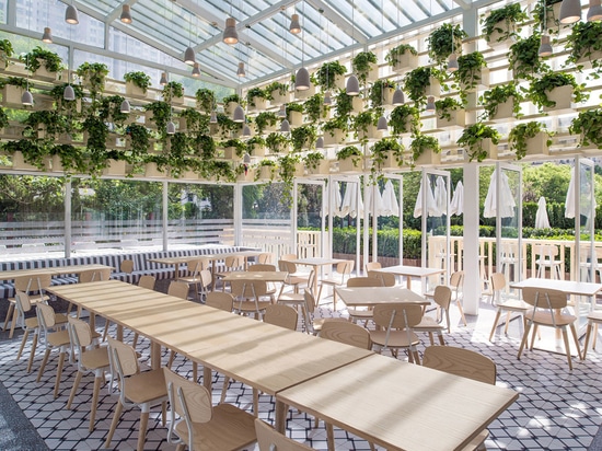 Four O Nine transforms greenhouse into plant-lined coffee shop