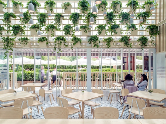 Four O Nine transforms greenhouse into plant-lined coffee shop