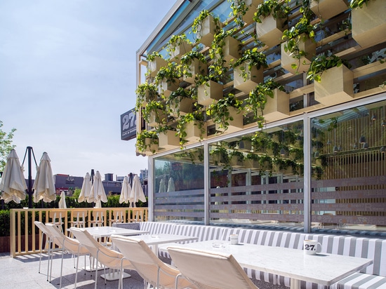 Four O Nine transforms greenhouse into plant-lined coffee shop