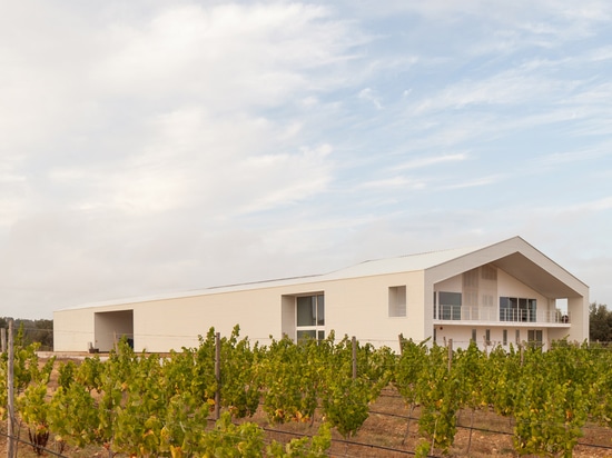 Ribeiro de Carvalho updates century-old Portuguese winery with new metal-clad building