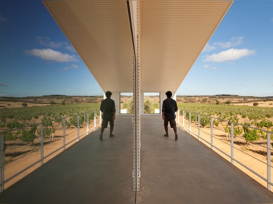 Ribeiro de Carvalho updates century-old Portuguese winery with new metal-clad building