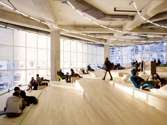 The Beach' is a dedicated open and informal study space that spans the entire sixth floor with several small terraces linked by ramps and gentle steps. Photography: Lorne Bridgman