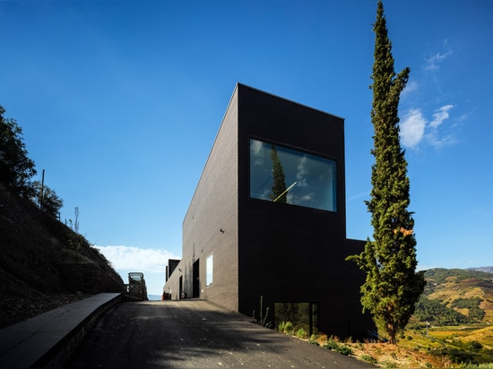 Alves de Sousa winery is a black brick box that emerges from its hillside site