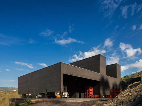 Alves de Sousa winery is a black brick box that emerges from its hillside site