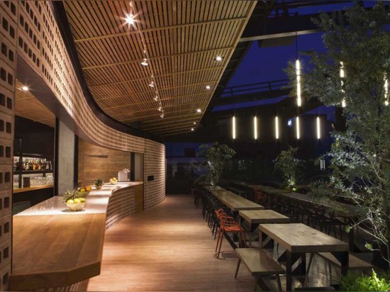 TDDA designs a rooftop bar in Mexico City