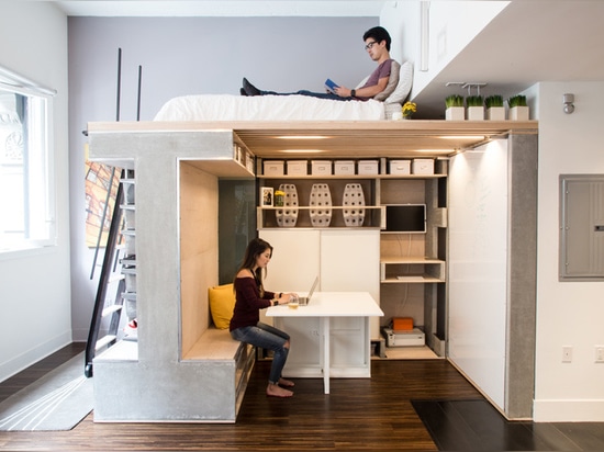 A space-saving loft was designed for this small apartment in San Francisco