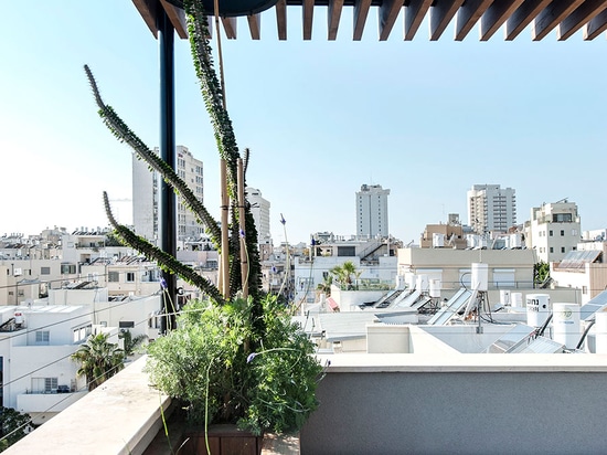 A Duplex Penthouse Apartment in Tel Aviv by Toledano + Architects