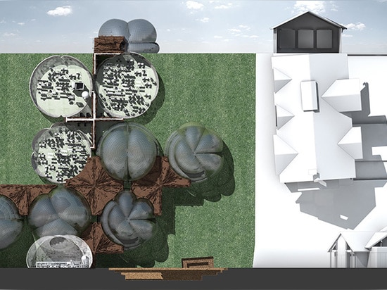 hybrid drawing of the plan, section and elevation