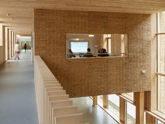 Extraordinary thatched Enterprise Centre may be the UK’s greenest building ever