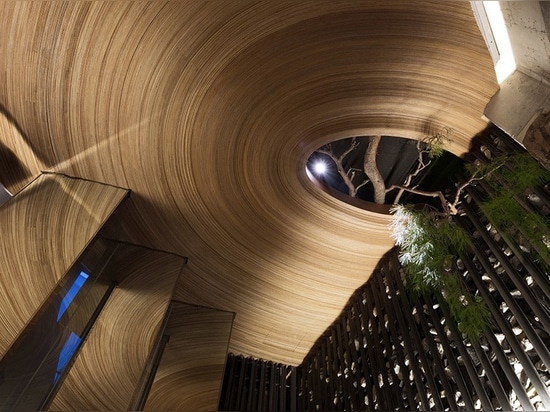 tree ring ceiling detail