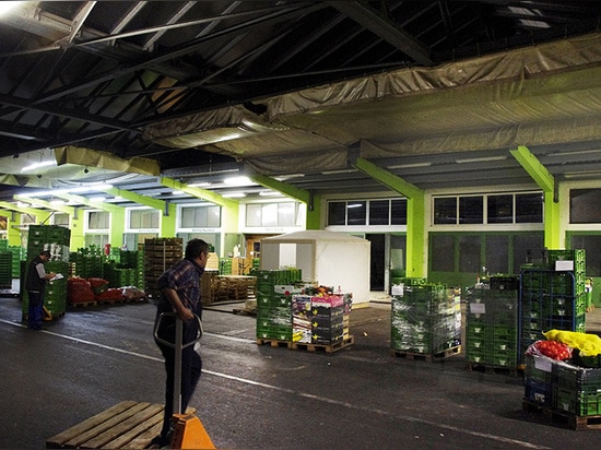 the structure embedded into the landscape of pallets of fruits and vegetables