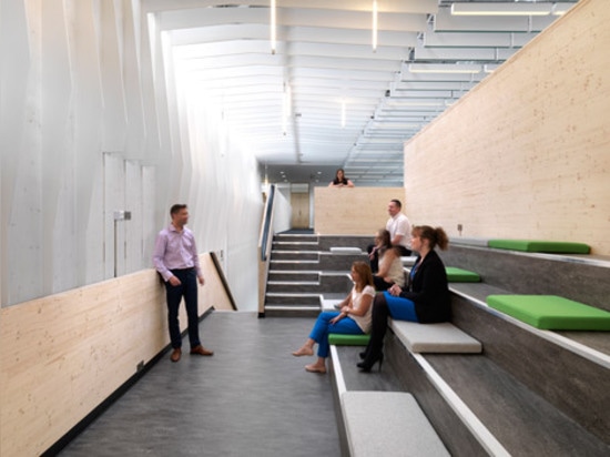 Multi-level wooden structure frames meeting areas in London office by Threefold Architects