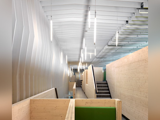 Multi-level wooden structure frames meeting areas in London office by Threefold Architects