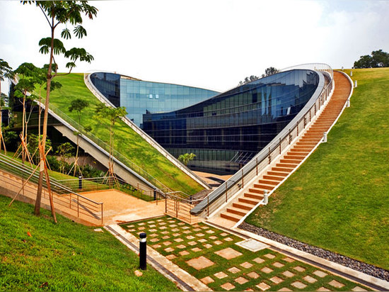 A swirling green roof tops the gorgeous Nanyang Technical University in Singapore