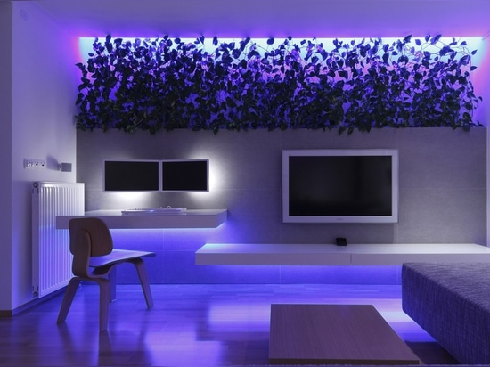 Designer Transforms Space With Indoor Plants