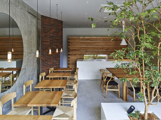 A small tree grows inside Ito-biyori cafe by Ninkipen!