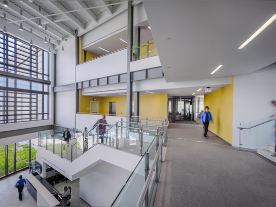 Multistory lobby leads to collaboration spaces and open offices.