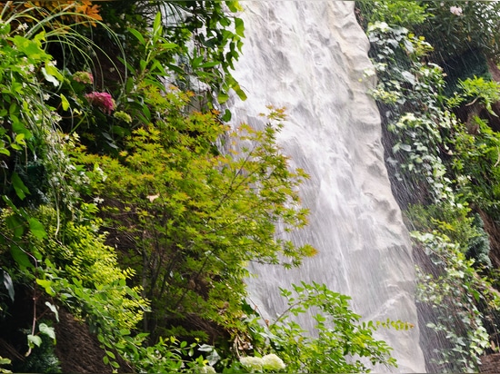 World highest waterfall in a vertical garden