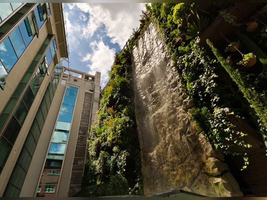 World highest waterfall in a vertical garden