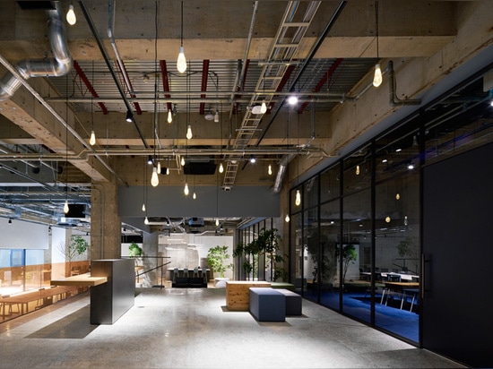 the reception area overlooks the open-plan office